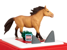 Load image into Gallery viewer, Tonies - How and Why?Fabulous Horses BO10000009