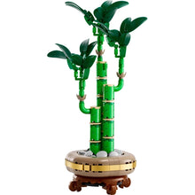 Load image into Gallery viewer, LEGO Botanical Collection 10344 Flowers Lucky Bamboo Set for