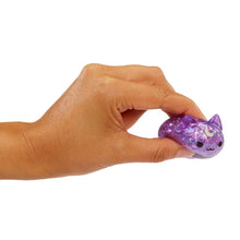 Load image into Gallery viewer, Moj Moj Fidget Toy Squishy Crunch Animal Series 1 Blind Pack