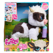 Load image into Gallery viewer, Fur Real Riley The Feed & Follow Cow