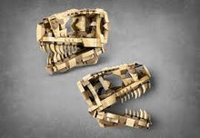 Load image into Gallery viewer, LEGO Jurassic World Dinosaur Fossils: T. rex Skull 76964