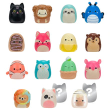 Load image into Gallery viewer, Original Squishmallows Squish-a-Longs 14 Pack Assortment