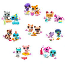 Load image into Gallery viewer, Littlest Pet Shop Pet Pairs Pack Assortment