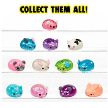 Load image into Gallery viewer, Moj Moj Fidget Toy Squishy Crunch Animal Series 1 Blind Pack