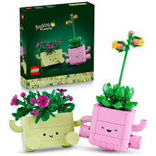 Load image into Gallery viewer, LEGO Botanicals 11506 Rocking Plants Set