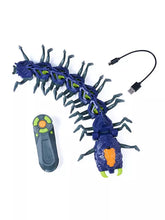 Load image into Gallery viewer, HEXBOTS ALIVE INSIDE - RC Exploding Centipede