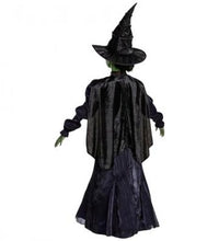 Load image into Gallery viewer, Wicked Elphaba Wicked Witch (Size 5 to 6 years) JP167029L