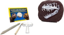 Load image into Gallery viewer, National Geographic Dino Fossil Dig Kit