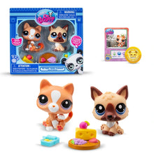 Load image into Gallery viewer, Littlest Pet Shop Pet Pairs Pack Assortment