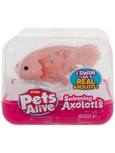 Load image into Gallery viewer, Pets Alive by ZURU Interactive Swimming Axolotls Assortment