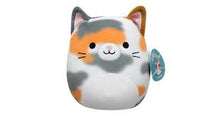 Load image into Gallery viewer, Squishmallow 50cm Asst
