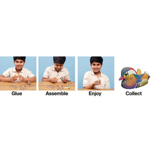 EUGY 3D Model Cardboard Kit Mandarin Duck