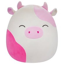 Load image into Gallery viewer, Squishmallows 40cm Asst
