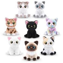 Load image into Gallery viewer, Pets Alive by ZURU Smitten Kittens Interactive Plush Assortment
