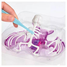 Load image into Gallery viewer, Science Mad
Science Mad Dissection Kit - 2 Pack
