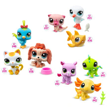 Load image into Gallery viewer, Littlest Pet Shop Pet Trio Assortment
