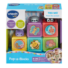 Load image into Gallery viewer, Vtech Pop-A-Blocks
