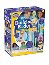 Load image into Gallery viewer, Build a Body Skeleton &amp; Organs
