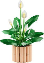 Load image into Gallery viewer, LEGO Botanicals 11504 Peace Lily Set for Adults
